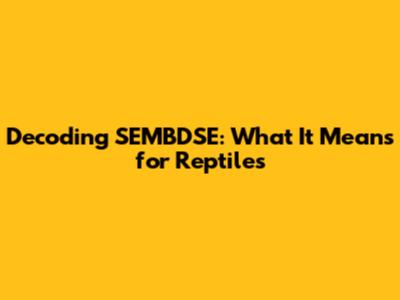Decoding SEMBDSE: What It Means for Reptiles