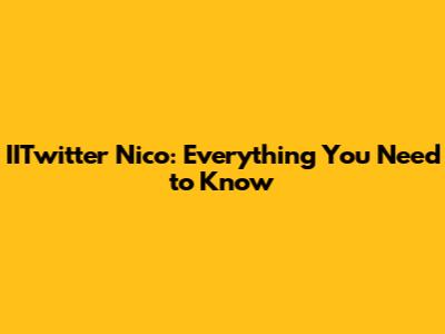 IITwitter Nico: Everything You Need to Know