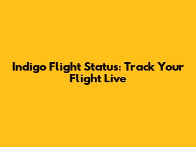 Indigo Flight Status: Track Your Flight Live