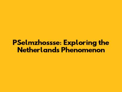PSelmzhossse: Exploring the Netherlands Phenomenon