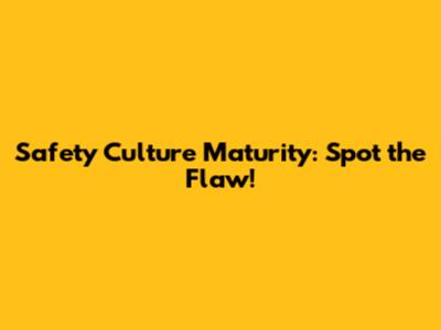 Safety Culture Maturity: Spot the Flaw!