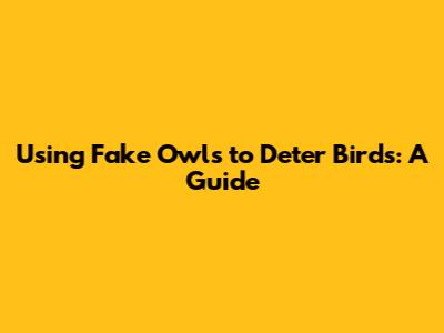 Using Fake Owls to Deter Birds: A Guide