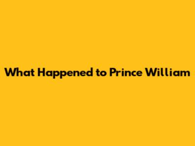 What Happened to Prince William